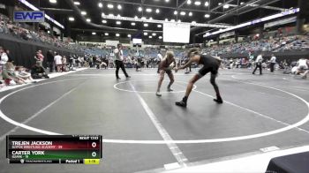 110 lbs Quarterfinal - Carter York, Ozark vs Trejen Jackson, SlyFox Wrestling Academy