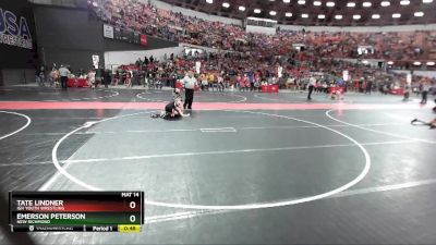 100 lbs Quarterfinal - Tate Lindner, IGH Youth Wrestling vs Emerson Peterson, New Richmond
