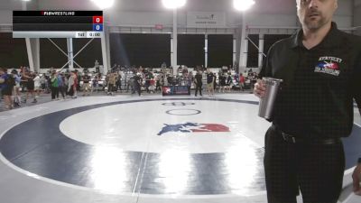 94 lbs Champ. Rd Of 16 - David Wesierski, The Wrestling Academy vs Corbin Jansheski, Michigan Premier