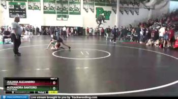 103 lbs Round 2 - Juliana Alejandro, Centennial vs Alexandra Santoro, Palo Verde