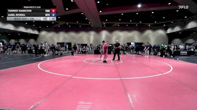 138 lbs Cons. Round 3 - Tanner Hamilton, Pennsylvania vs Jamil Rivera, New York