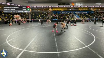 155 lbs Cons. Round 4 - Roya Shayestehjah, Huntley vs Dakota Obbish, Lockport (Twp.)