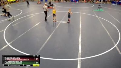 53 lbs Champ. Round 1 - Maddox Wheeler, Rosemount Irish Wrestling vs Tucker Oellien, St. Francis Gladiators Wrestling Club