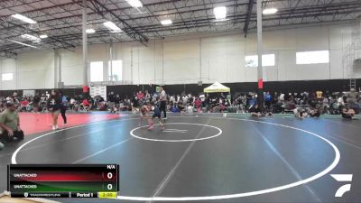 55-60 lbs Round 2 - Ivy Leyva, Unaffiliated vs Zoe Rose Thomas, Peterson Grapplers