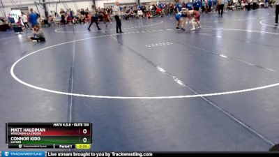 Elite 133 lbs Quarterfinal - Matt Haldiman, Wisconsin-La Crosse vs Connor Kidd, Luther