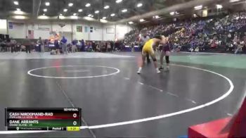 138 lbs Semis & 1st Wrestleback (8 Team) - Cash Niroomand-Rad, Papillion-La Vista vs Dane Arrants, Grand Island