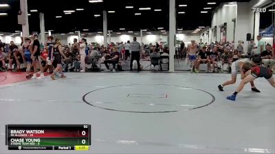 92 lbs Round 1 (6 Team) - Brady Watson, PA Alliance vs Chase Young, Xtreme Team Red