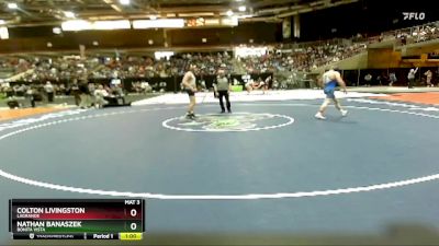 138 lbs Cons. Round 4 - Colton Livingston, LaGrande vs Nathan Banaszek, Bonita Vista