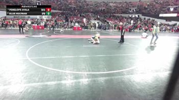 95 lbs Semifinal - Penelope Ayala, Team Nazar Training Center vs Ellie Hultman, Bay Port Wrestling