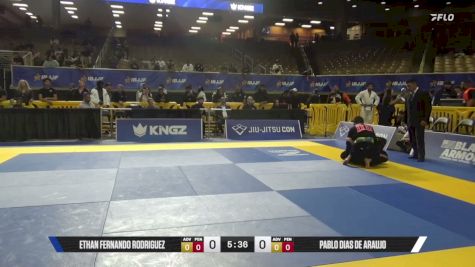 Pablo Dias De Araujo vs Ethan Fernando Rodriguez 2026 Pan Jiu Jitsu IBJJF Championship