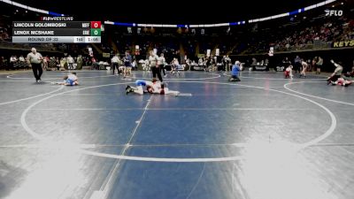 105 lbs Round Of 32 - Lincoln Golomboski, Mifflinburg vs Lenox McShane, Erie