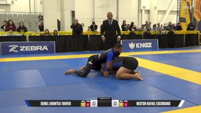 NESTOR RAFAEL ESCRIBANO vs DEMEL SHONTEA TARVER 2025 World IBJJF Jiu-Jitsu No-Gi Championship