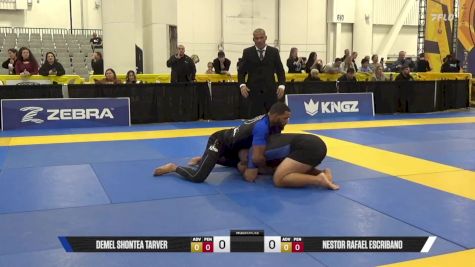 NESTOR RAFAEL ESCRIBANO vs DEMEL SHONTEA TARVER 2025 World IBJJF Jiu-Jitsu No-Gi Championship