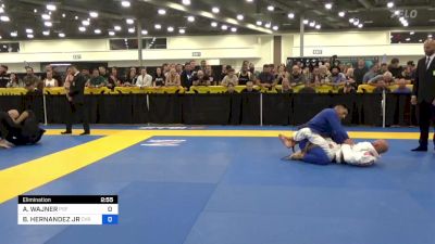 ALEJANDRO WAJNER vs BENJAMIN HERNANDEZ JR 2023 World Master IBJJF Jiu-Jitsu Championship