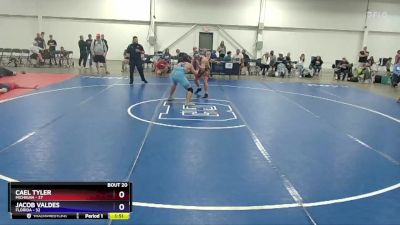 165 lbs Semis & 3rd Wb (16 Team) - Cael Tyler, Michigan vs Jacob Valdes, Florida