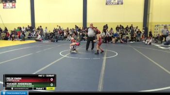 65 lbs Cons. Round 3 - Tucker Anderson, Owatonna Wrestling Academy vs Felix Swim, X-Factor Elite