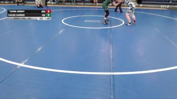 165 lbs Round 6 - Calen Harris, Lincoln Southwest vs Kade Abbey, Kearney