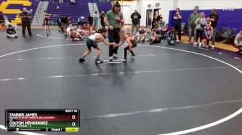70 lbs Round 4 (6 Team) - Tanner James, Palmetto State Wrestling Academy vs Colton Mendendez, West Wateree