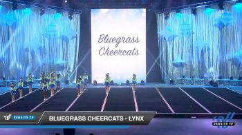 Bluegrass Cheercats - Lynx [2019 Mini - D2 1 Day 1] 2019 WSF All Star Cheer and Dance Championship