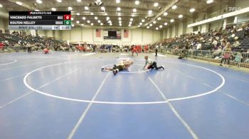 133 lbs Quarterfinal - Kolton Kelley, Brockport vs Vincenzo Falsetti, Niagara County Community College