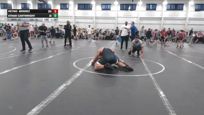 165 lbs Round 1 (4 Team) - Ethan Cartwright, All American vs Keyno Mendez, St. Paris Graham