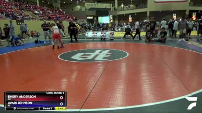 152 lbs Cons. Round 3 - Emery Anderson, AR vs Avari Johnson, KS