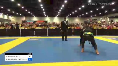 DARYL RODRIGUEZ vs ROGERIO POGGIO DE CASTRO 2022 World Master IBJJF Jiu-Jitsu Championship