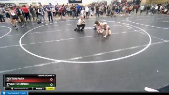 120 lbs Champ. Round 1 - Tyler Turzinski, MN vs Peyton Park, OK