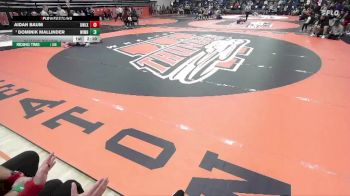 149 lbs Champ. Round 1 - Dominik Mallinder, Wisconsin-Whitewater vs Aidan Baum, Wisconsin - Lacrosse