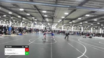 101 lbs Quarterfinal - Ashley Gomez, Imperial Tigers vs Regan Huppenthal, Brighton WC