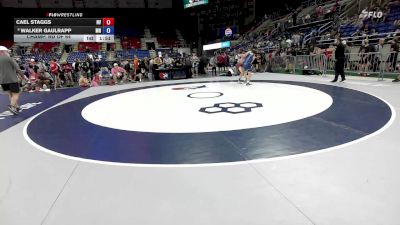 138 lbs Champ. Rd Of 64 - Cael Staggs, NV vs Walker Gaulrapp, MN