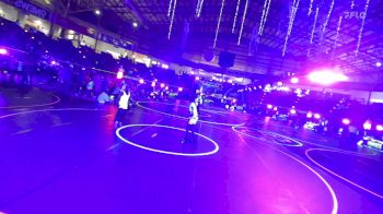 80 lbs Quarterfinal - Heavyn Woods, Takedown Elite vs Amelia Martinez-Guzman, Denver West Cowboys Wrestling