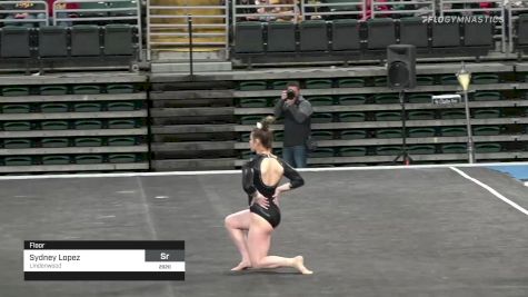 Sydney Lopez - Floor, Lindenwood