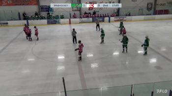 Replay: Home - 2023 Seattle vs Bellingham | Oct 13 @ 7 PM