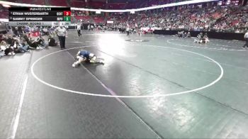 D3-138 lbs Champ. Round 1 - Ethan Wusterbarth, Oconto vs Sammy Springer, Mineral Point