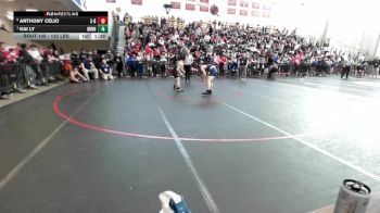 132 lbs Quarterfinal - Anthony Celio, Somerset Berkley vs Kai Ly, Minnechaug