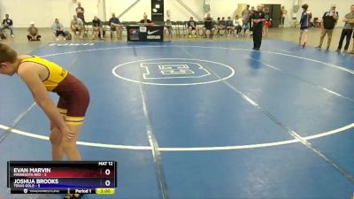 110 lbs Round 2 (8 Team) - Jacob Lehman, Minnesota Red vs Tyson Crowsey, Texas Gold