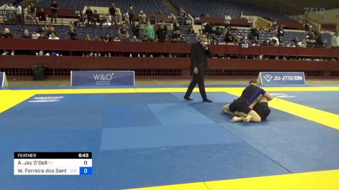 Anthony Jay O'Dell vs Washington Ferreira Dos Santos 2024 Pan IBJJF Jiu-Jitsu No-Gi Championship