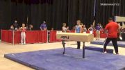Reidland Brown - Pommel Horse, Houston Gymnastics Associates.In - 2021 USA Gymnastics Development Program National Championships