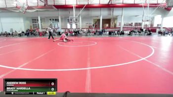 149 lbs Cons. Round 3 - Andrew Ross, Wabash vs Brady Nardella, Huntingdon