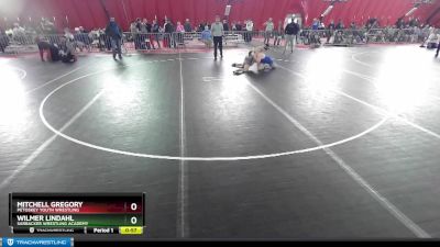 175 lbs Cons. Round 3 - Wilmer Lindahl, Sarbacker Wrestling Academy vs Mitchell Gregory, Petoskey Youth Wrestling