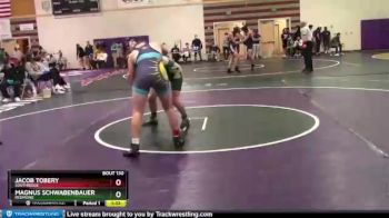 170 lbs Quarterfinal - Jacob Tobery, Southridge vs Magnus Schwabenbauer, Redmond