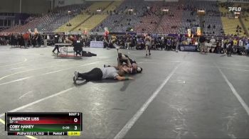 133 lbs Quarterfinals (8 Team) - Lawrence Liss, RIT vs Coby Haney, Millikin