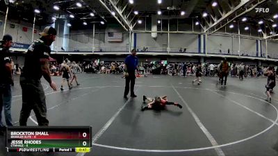 44 lbs Round 7 (10 Team) - Brockton Small, Brawler Elite vs Jesse Rhodes, CTWHALE