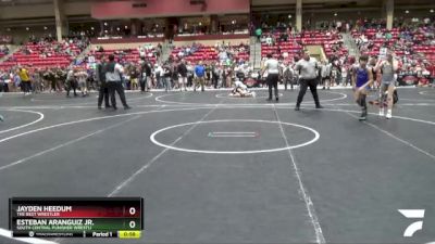 100 lbs Quarterfinal - Esteban Aranguiz Jr., South Central Punisher Wrestli vs Jayden Heedum, The Best Wrestler