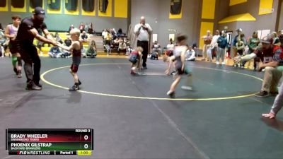 55 lbs Round 3 - Brady Wheeler, Swainsboro Tigers vs Phoenix Gilstrap, Backyard Brawlers