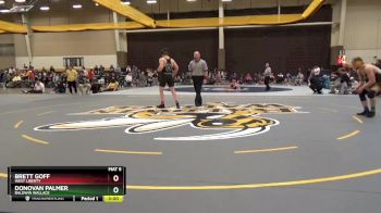 165 lbs Quarterfinal - Donovan Palmer, Baldwin Wallace vs Brett Goff, West Liberty