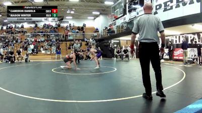 165 lbs Cons. Semi - Mason Winter, Mass. Jackson vs Cameron Daniels, Canton McKinley