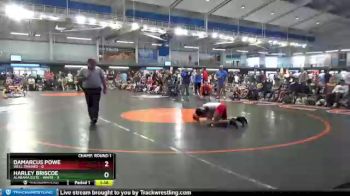 106 lbs Round 1 (16 Team) - Harley Briscoe, Alabama Elite - White vs Damarcus Powe, Well Trained