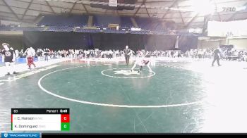 83 lbs Cons. Round 5 - Caton Hanson, Snoqualmie Valley Wrestling Club vs Kenichi Dominguez, Team Aggression Wrestling Club